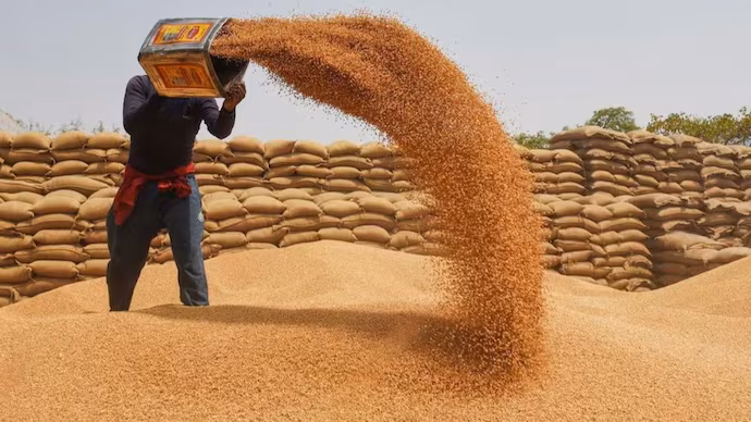 Will Pakistan Run Short Of Flour? Wheat Output Likely To Fall Amid Afghanistan War 39 Will Pakistan run short of flour? Wheat output likely to fall amid Afghanistan war